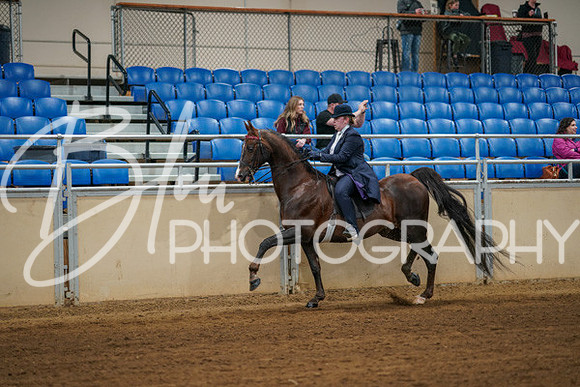 Aurora Show June 8, 2024  - 00587