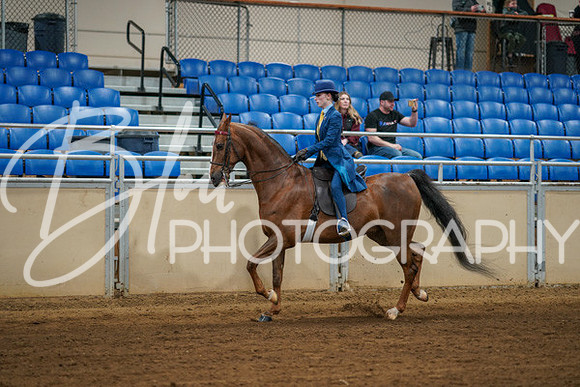 Aurora Show June 8, 2024  - 00625