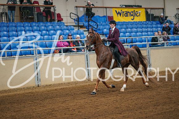 Aurora Show June 8, 2024  - 00608