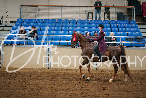 Aurora Show June 8, 2024  - 00726