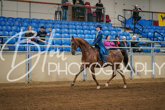 Aurora Show June 8, 2024  - 00623