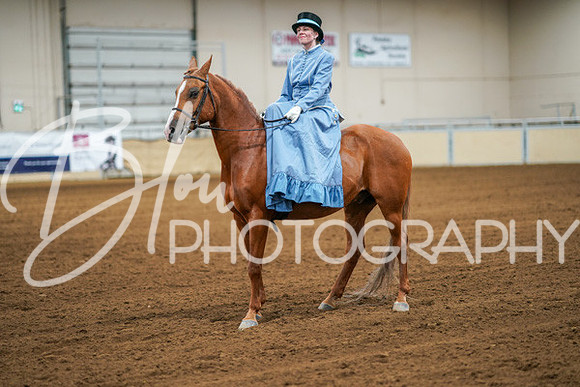Aurora Show June 7, 2024  - 04583