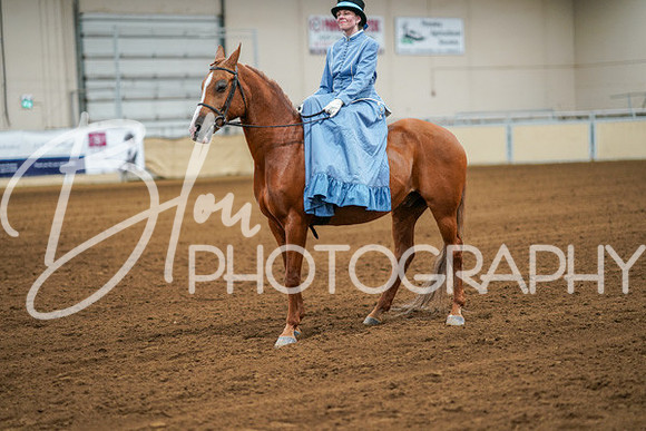 Aurora Show June 7, 2024  - 04584