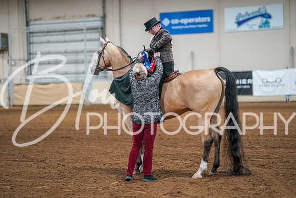 Aurora Show June 7, 2024  - 04609