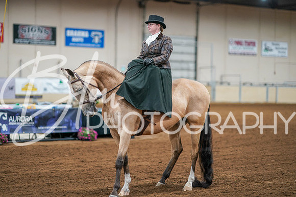 Aurora Show June 7, 2024  - 04573