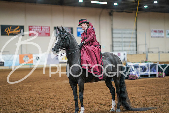 Aurora Show June 7, 2024  - 04560