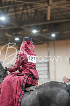 Aurora Show June 7, 2024  - 04604