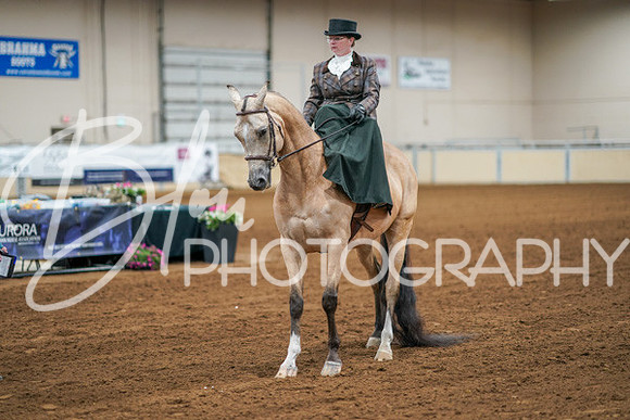 Aurora Show June 7, 2024  - 04571