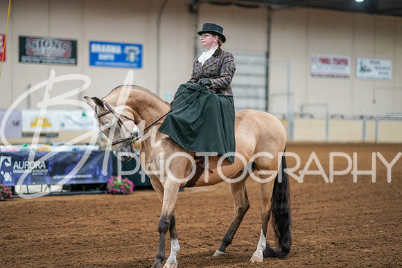 Aurora Show June 7, 2024  - 04574