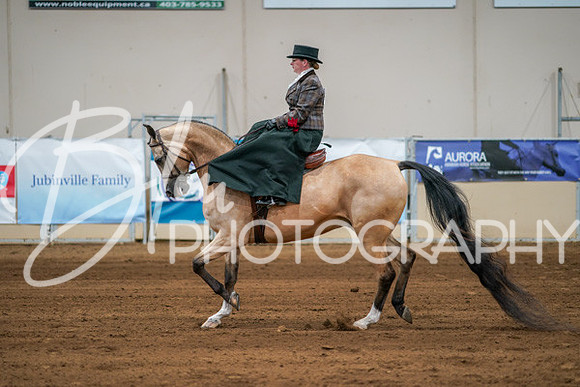 Aurora Show June 7, 2024  - 04629