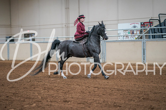 Aurora Show June 7, 2024  - 04536