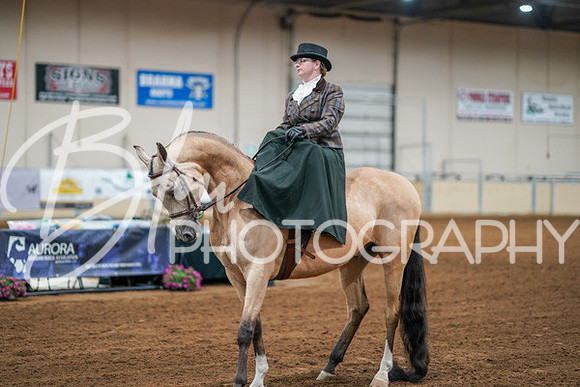 Aurora Show June 7, 2024  - 04576