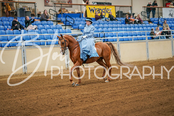 Aurora Show June 7, 2024  - 04497