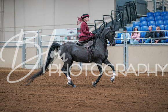 Aurora Show June 7, 2024  - 04540