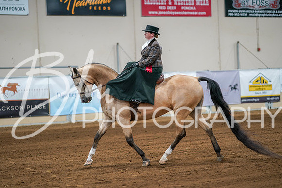 Aurora Show June 7, 2024  - 04628