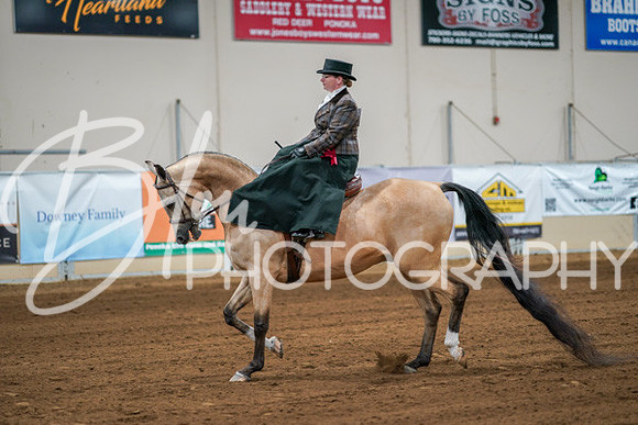 Aurora Show June 7, 2024  - 04627