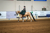 Aurora Show June 7, 2024  - 04477