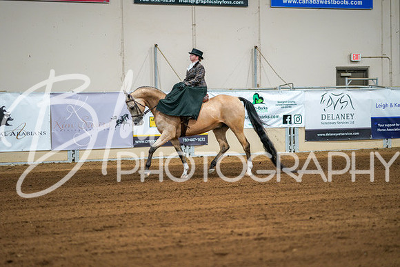 Aurora Show June 7, 2024  - 04477