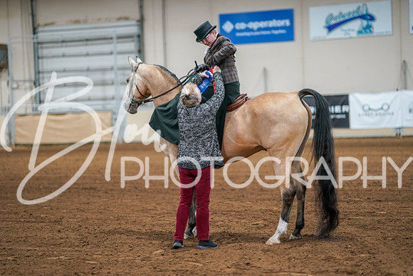 Aurora Show June 7, 2024  - 04606