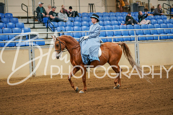 Aurora Show June 7, 2024  - 04499