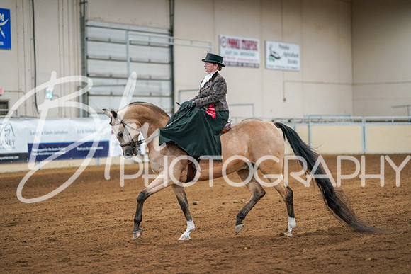 Aurora Show June 7, 2024  - 04623