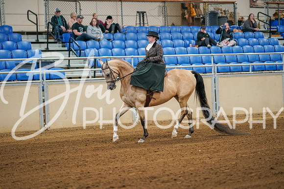 Aurora Show June 7, 2024  - 04515