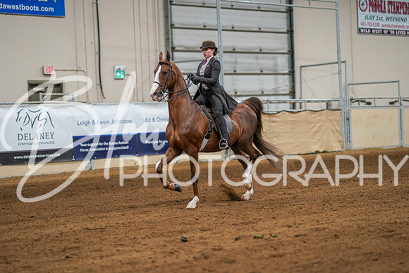 Aurora Show June 7, 2024  - 04679