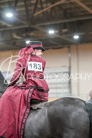 Aurora Show June 7, 2024  - 04601