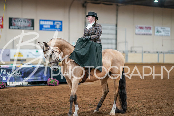 Aurora Show June 7, 2024  - 04575