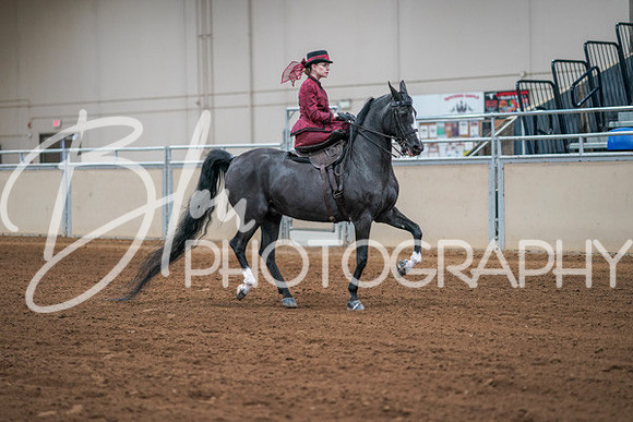 Aurora Show June 7, 2024  - 04537