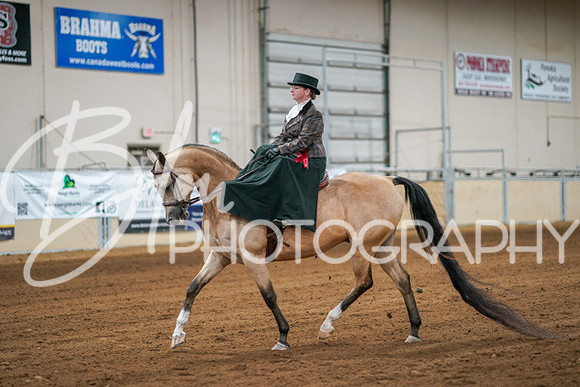 Aurora Show June 7, 2024  - 04625