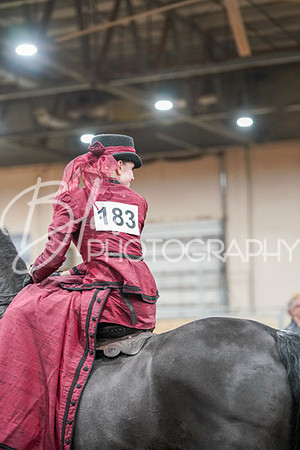 Aurora Show June 7, 2024  - 04602
