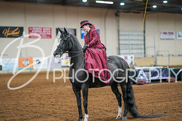 Aurora Show June 7, 2024  - 04561