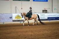 Aurora Show June 7, 2024  - 04475