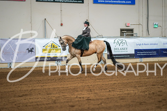 Aurora Show June 7, 2024  - 04475