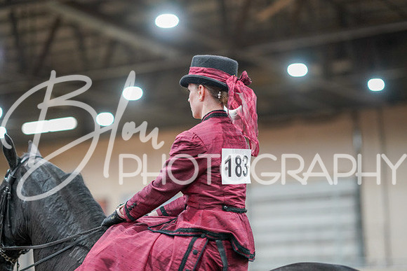 Aurora Show June 7, 2024  - 04587
