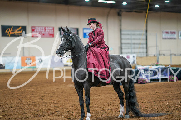 Aurora Show June 7, 2024  - 04559