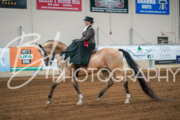 Aurora Show June 7, 2024  - 04626