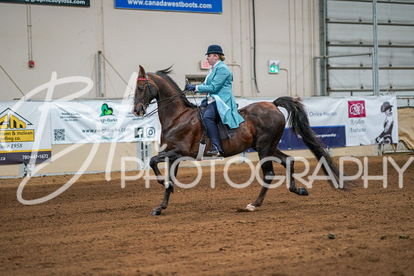 Aurora Show June 7, 2024  - 04654