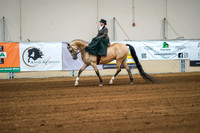 Aurora Show June 7, 2024  - 04479