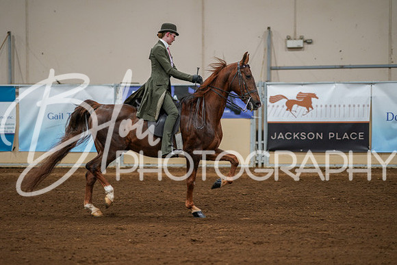 Aurora Show June 8, 2024  - 01039