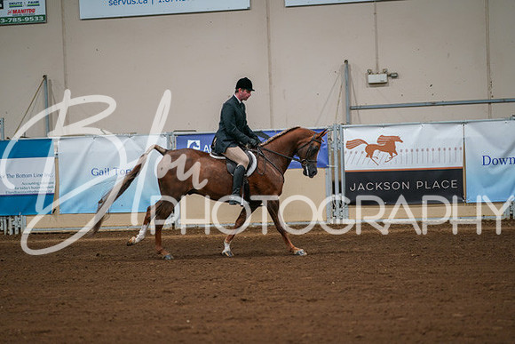 Aurora Show June 8, 2024  - 00913