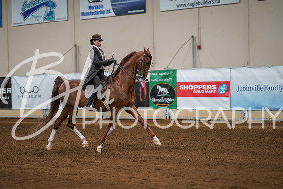 Aurora Show June 8, 2024  - 01025