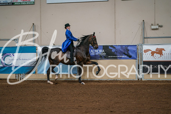 Aurora Show June 8, 2024  - 01012