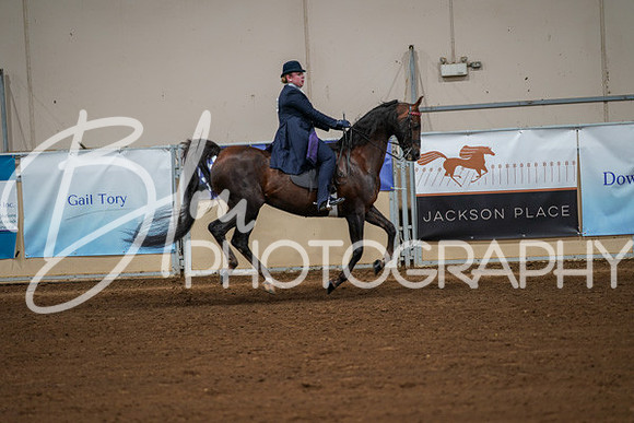 Aurora Show June 8, 2024  - 00993