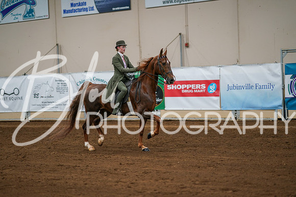 Aurora Show June 8, 2024  - 01033