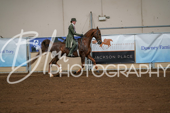 Aurora Show June 8, 2024  - 00998