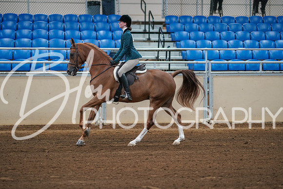 Aurora Show June 8, 2024  - 00841