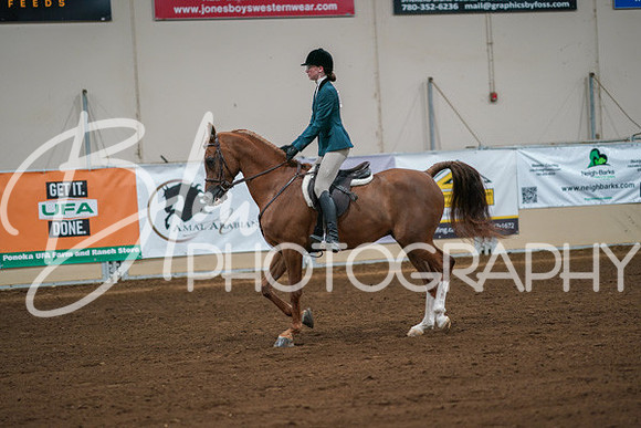 Aurora Show June 8, 2024  - 00851