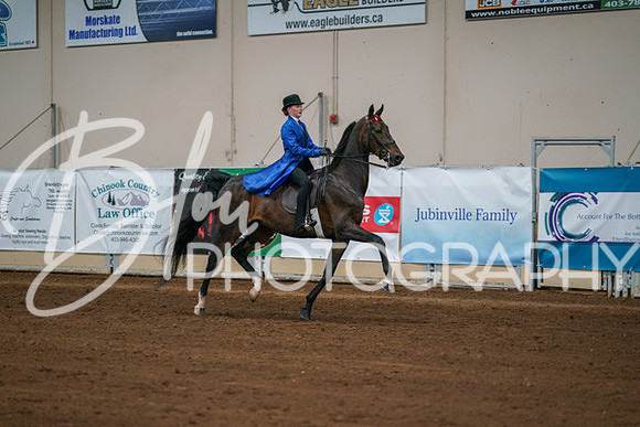 Aurora Show June 8, 2024  - 01041